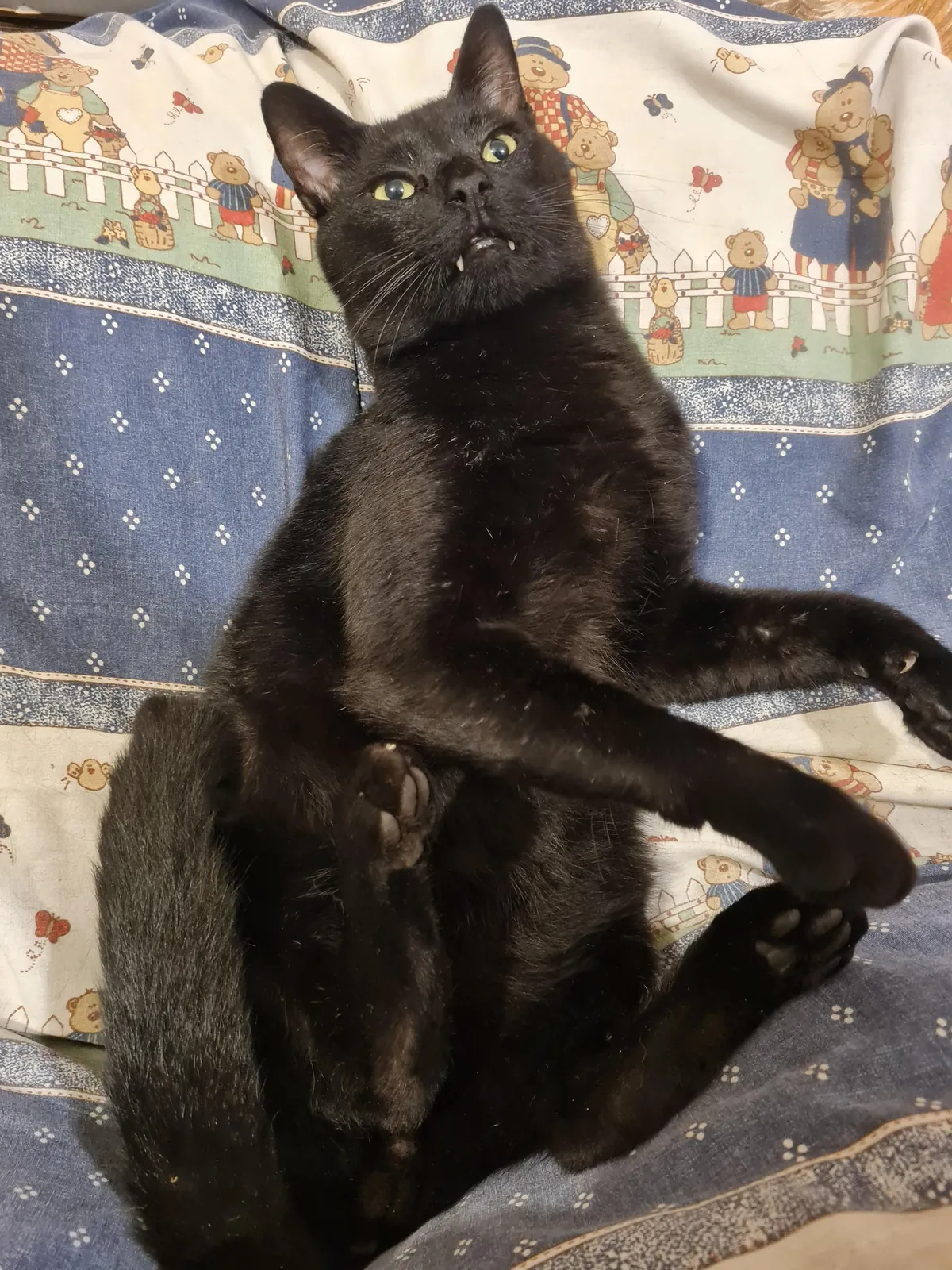 The love of my life. I have never loved anyone as much as I love my baby 😭💘