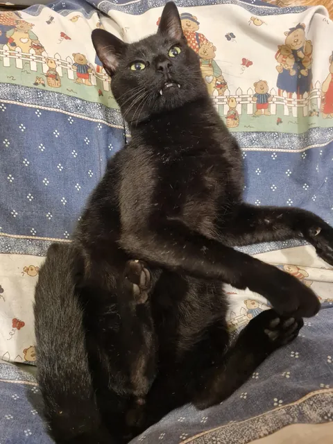 The love of my life. I have never loved anyone as much as I love my baby 😭💘