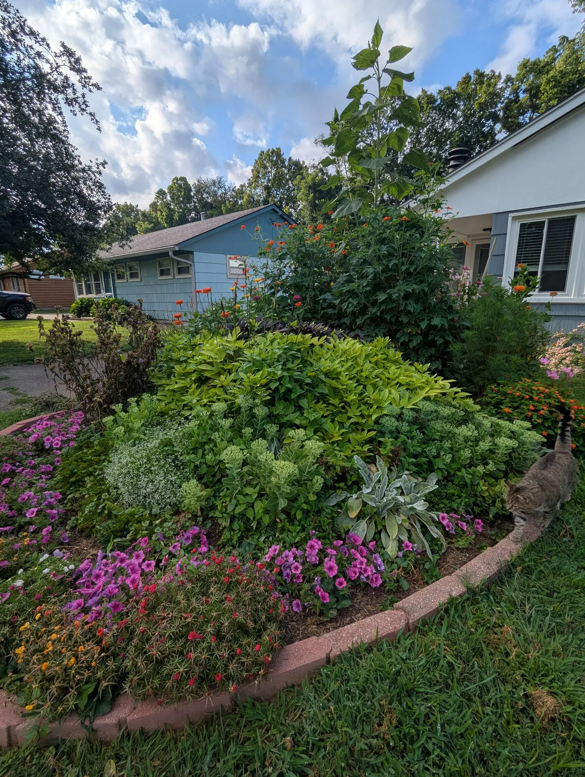 Just wanted to share some pics