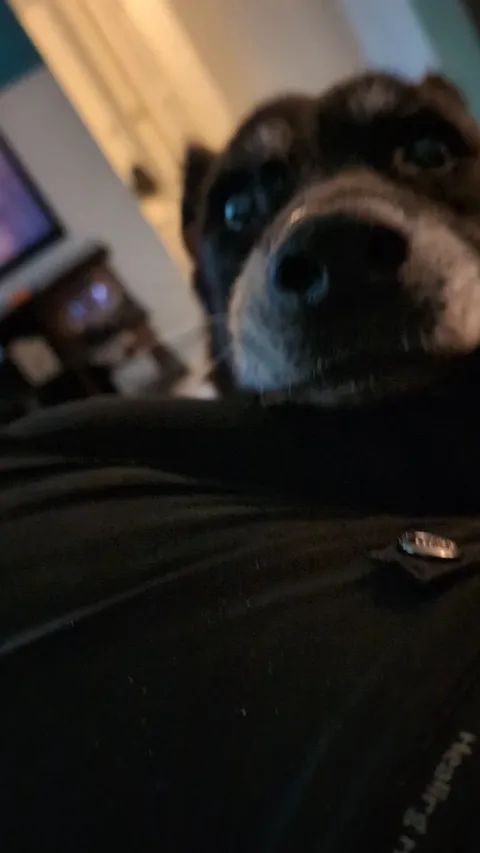 Best friend for 16 and a half years ❤️