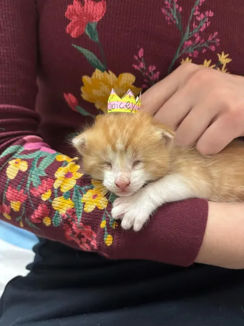 Born with no EyeBalls (anophthalmia)... My Beauty Queen