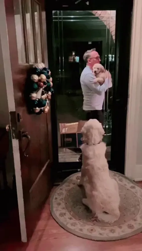 I brought you a gift, new friend!