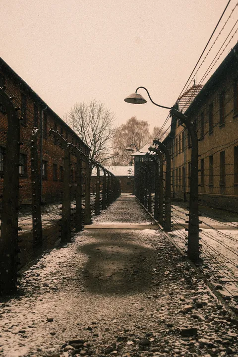 Auschwitz-Birkenau: Nazi German Concentration &amp; Extermination Camp (Poland)