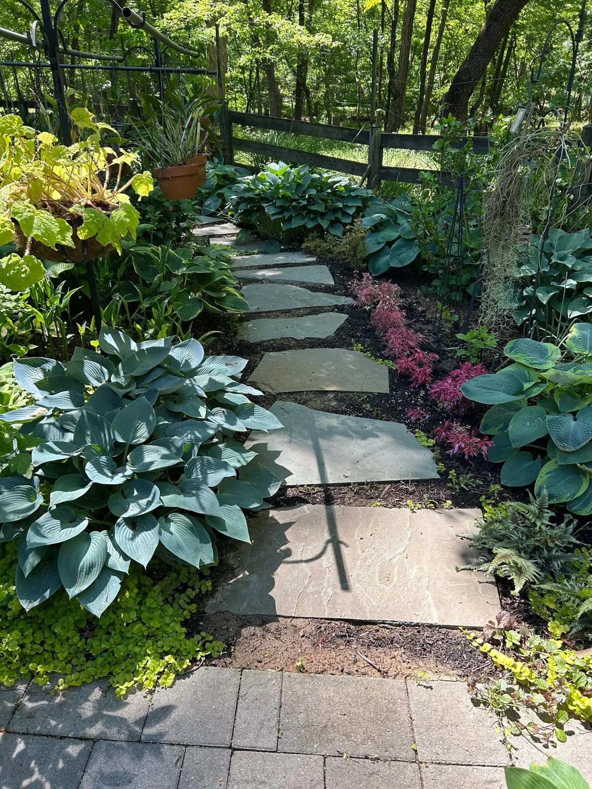 Progress March 3 to May 10