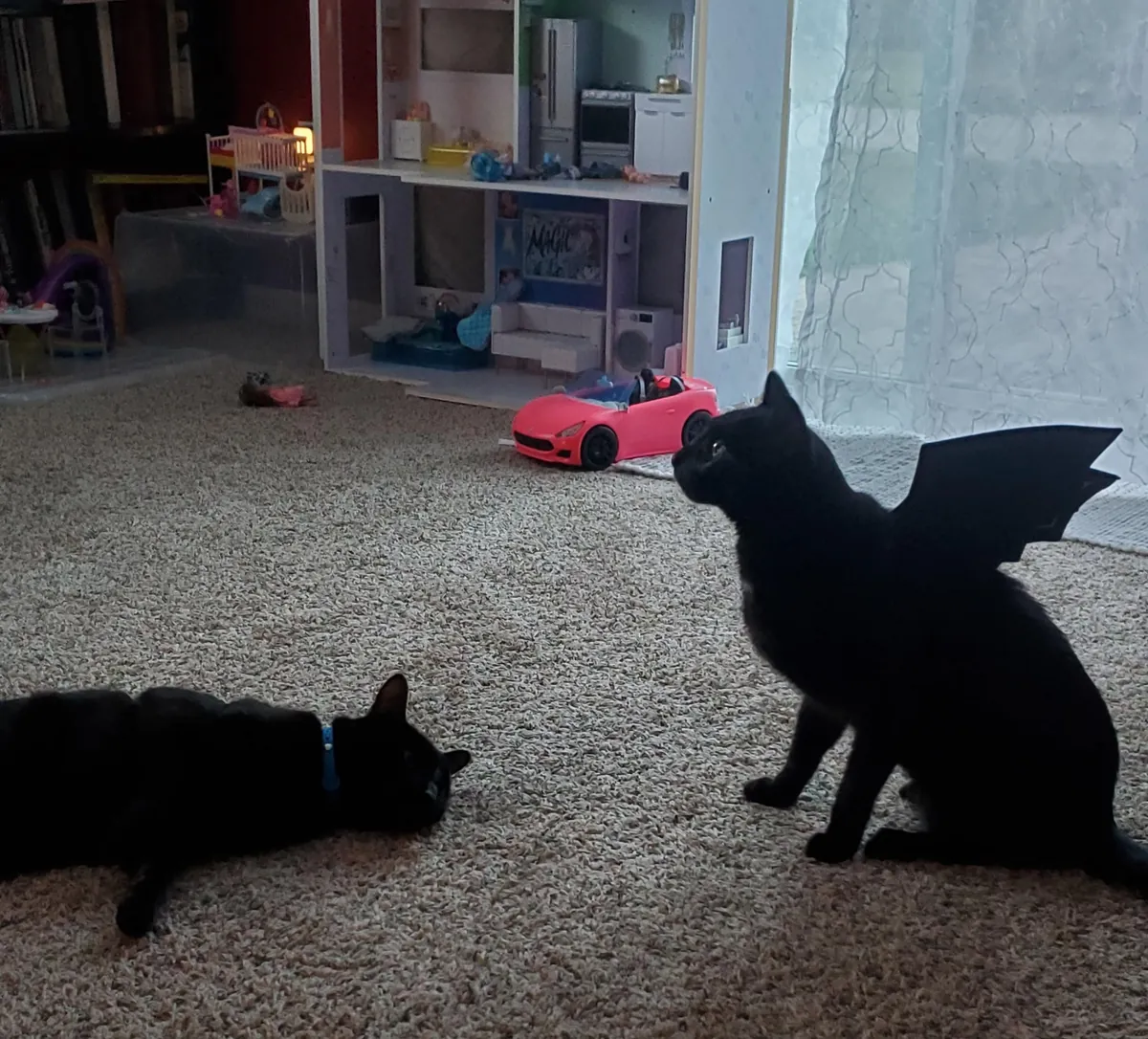 Another Halloween photo shoot..