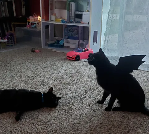 Another Halloween photo shoot..