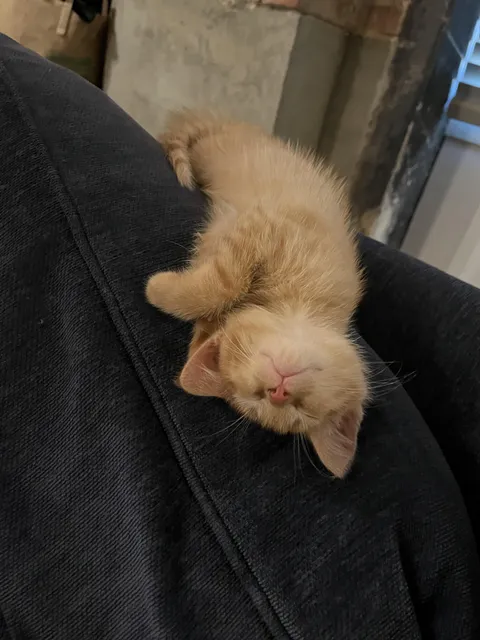 His first hour on the job ❤️