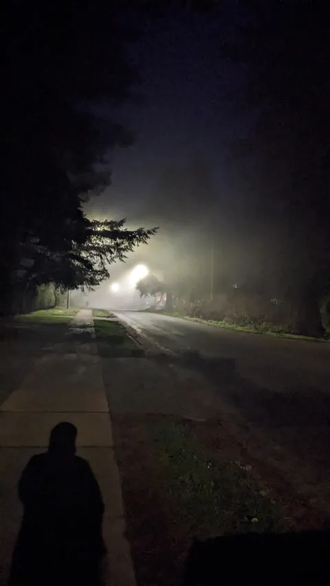 my last night of the year walk