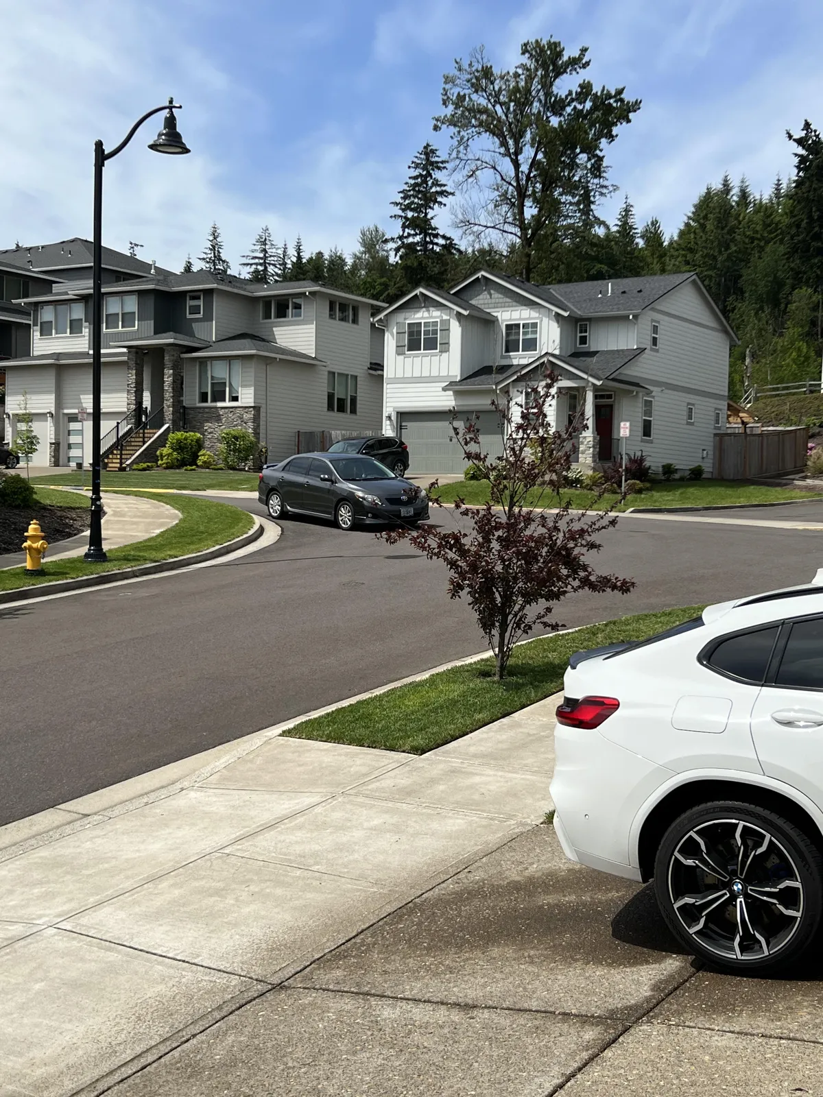 My neighbors parking, and no it’s not temporary, been like this for 3 days.