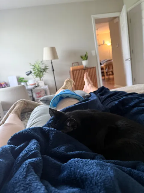 Can cats sense when you’re injured?