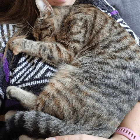 3 months to 13 months - but she's still a baby to me!