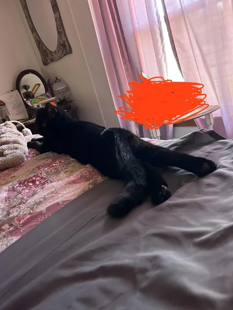 He always lays like this