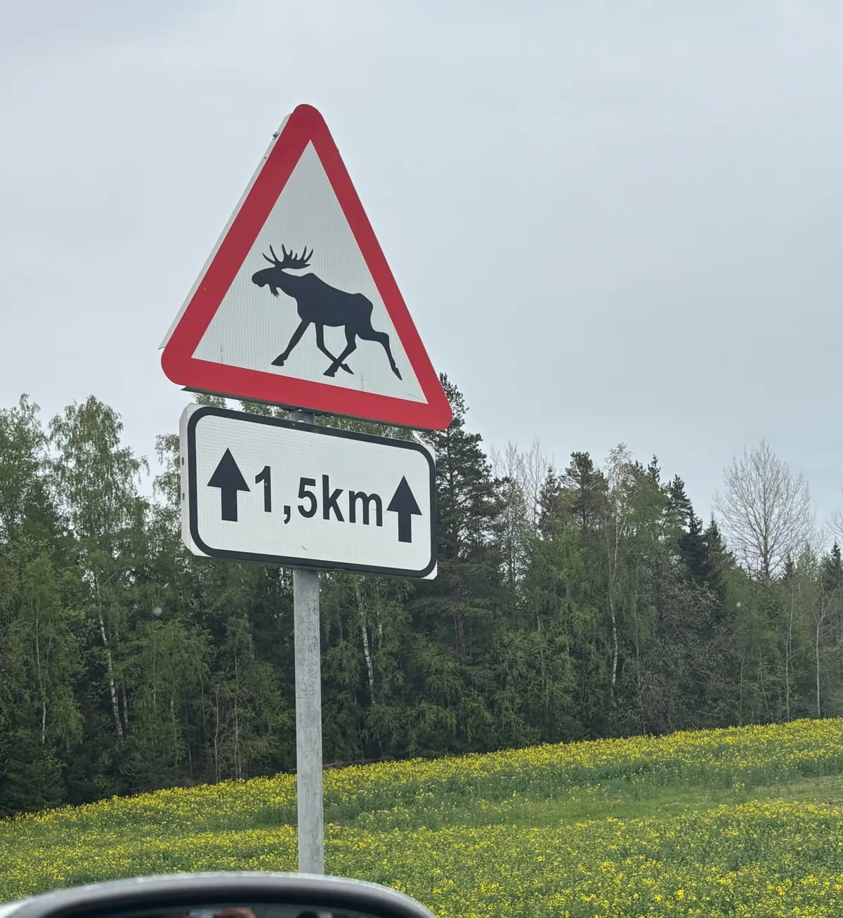 Tallinn in late spring