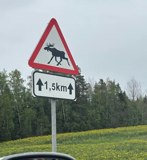 Tallinn in late spring