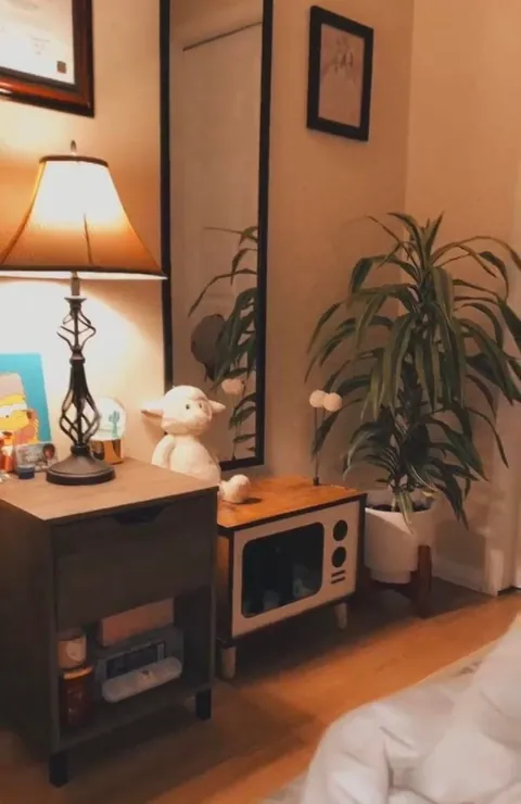 Made the most out of my little rental apartment 🧡