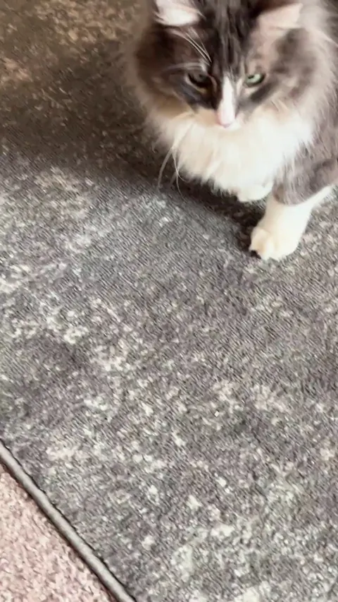 Target Unsuccessfully Acquired