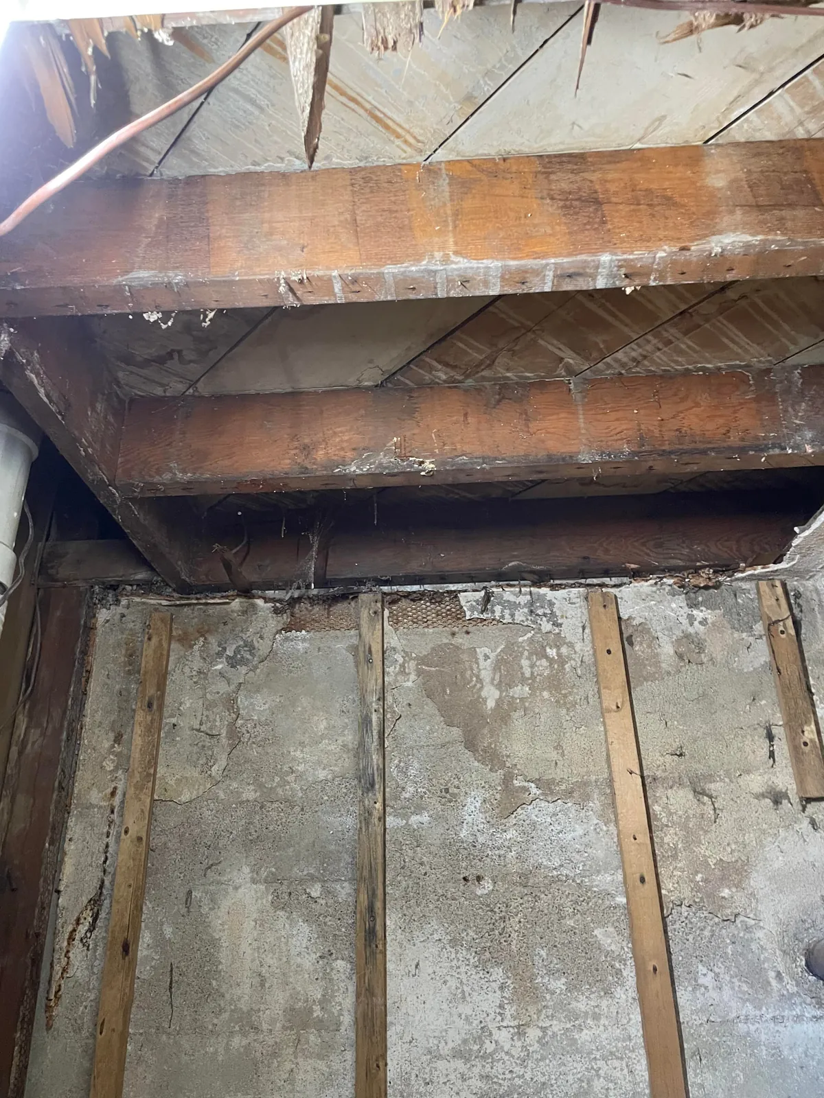 Built a wine closet under some stairs