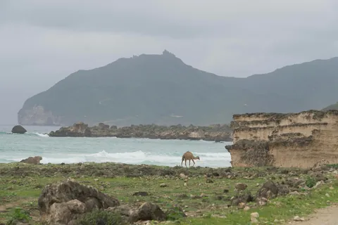 On a 3 week trip around Oman and spent a few days exploring the Dhofar Mountains around Salalah. This has quickly become my new favorite country in the world!