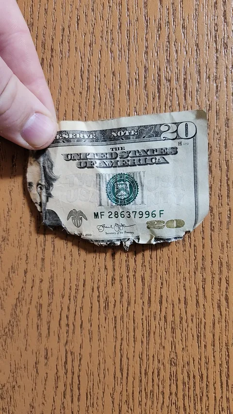 my dog ate the other half. What can I do with this?
