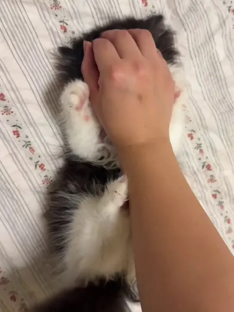 So cute, my heart is melting!