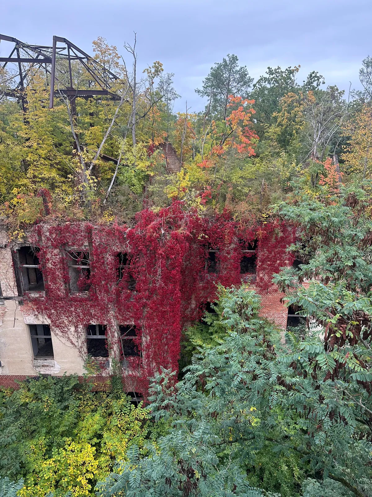 My 2 weeks in Germany, I would move to Berlin tomorrow!