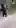 Women stand still to escape from a bear