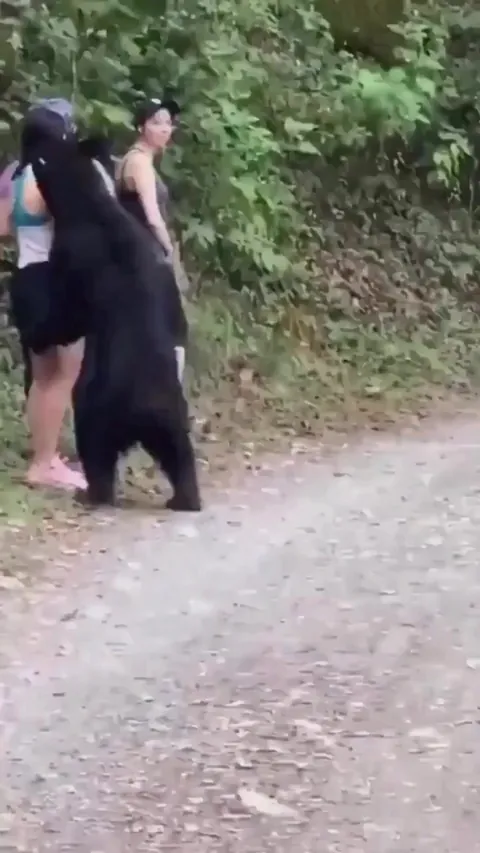 Women stand still to escape from a bear