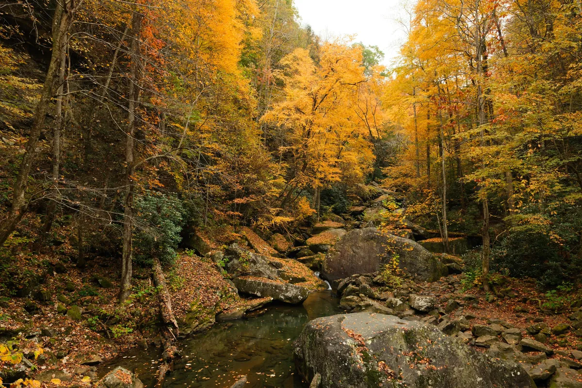 New River Gorge National Park, West Virginia, USA [OC] [4000x2667]