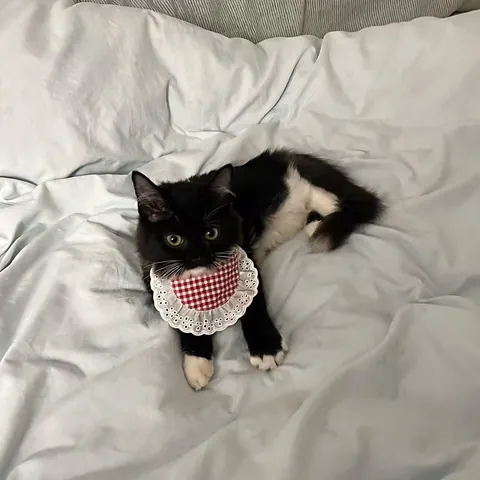 He’s only been in my life for 2 weeks but I already can’t imagine a day without him ❤️