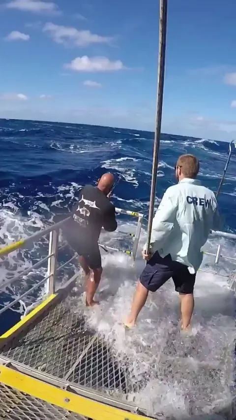 Two guy on a dangerous fishing trip