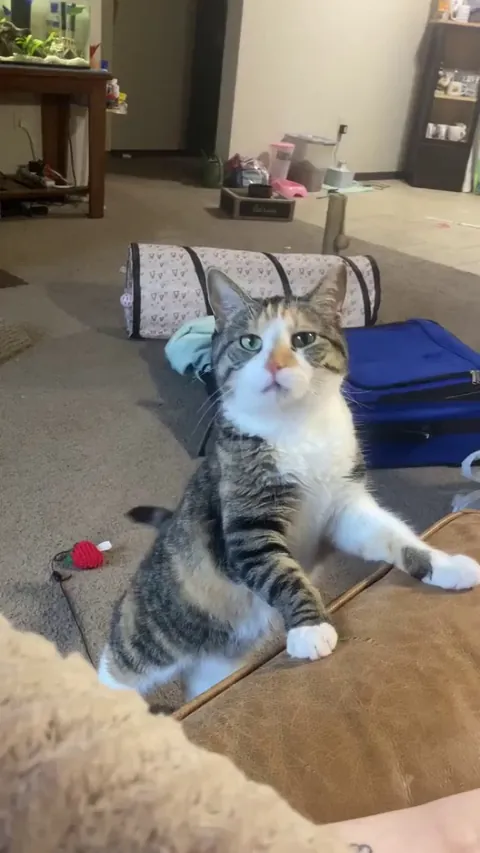 Whatever she needs, she needs it now