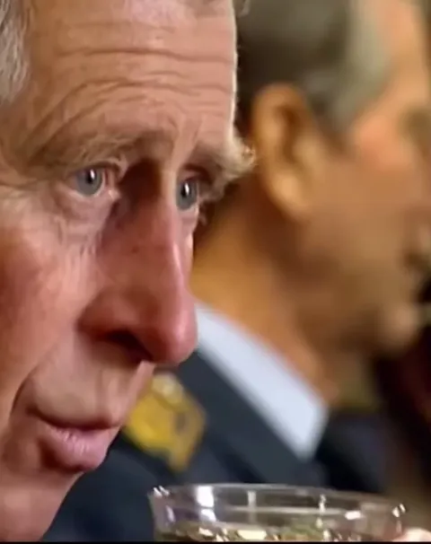 Privileges of King charles (intrestingasfuck)