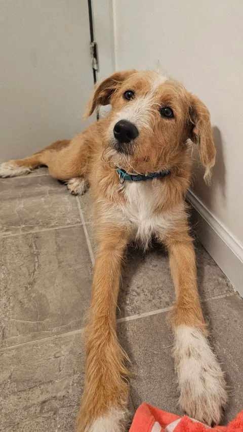 Her legs look so long when she lays down lol