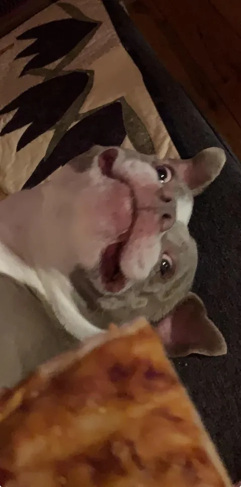 She was dead asleep before I sat down with PIZZA!!!!