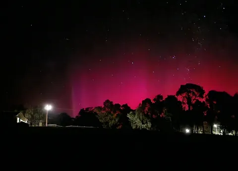 Aurora Australis showed up while walking my dog early this morning