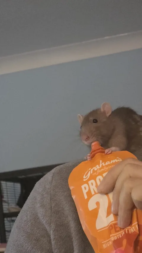 By Popular Demand - More Loup