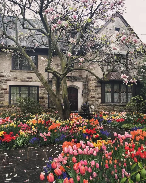 Most beautiful garden in my neighbourhood