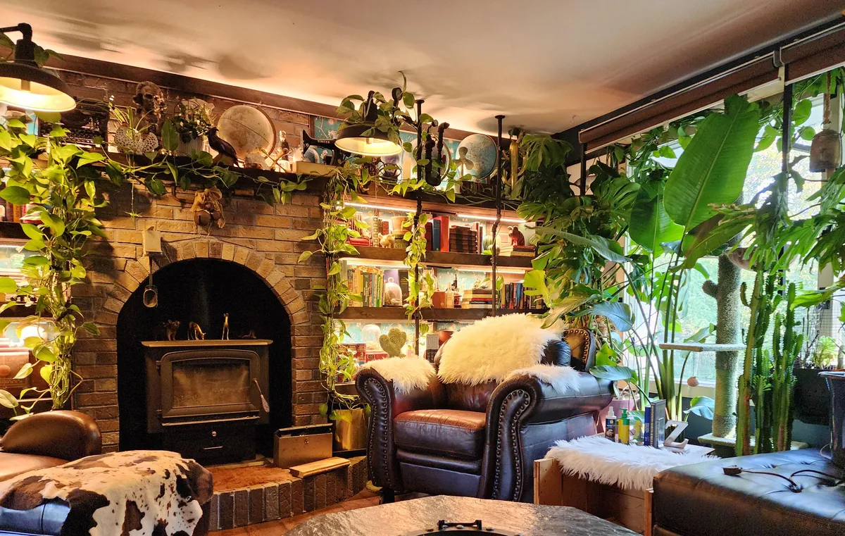 My plant-filled cozy livingroom