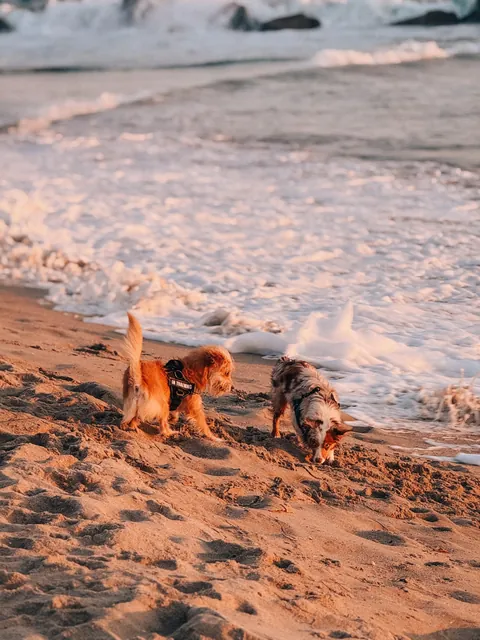 First time on the West Coast: 3 days in LA and I actually loved it