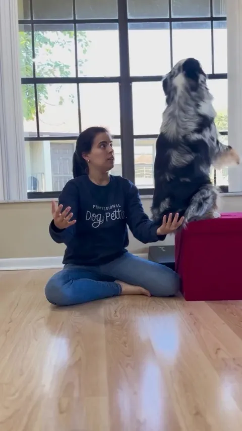 Here is something to make you guys smile .