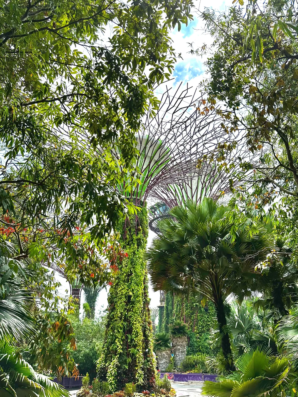 Brilliant but hard to get to know- Singapore 5-day trip