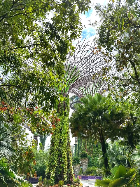 Brilliant but hard to get to know- Singapore 5-day trip