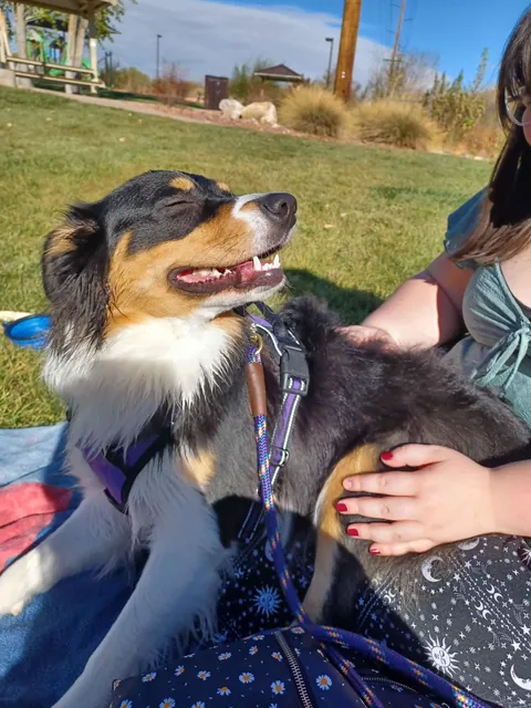 Almost a year since I adopted this creature and she is the best thing that has ever happened to me