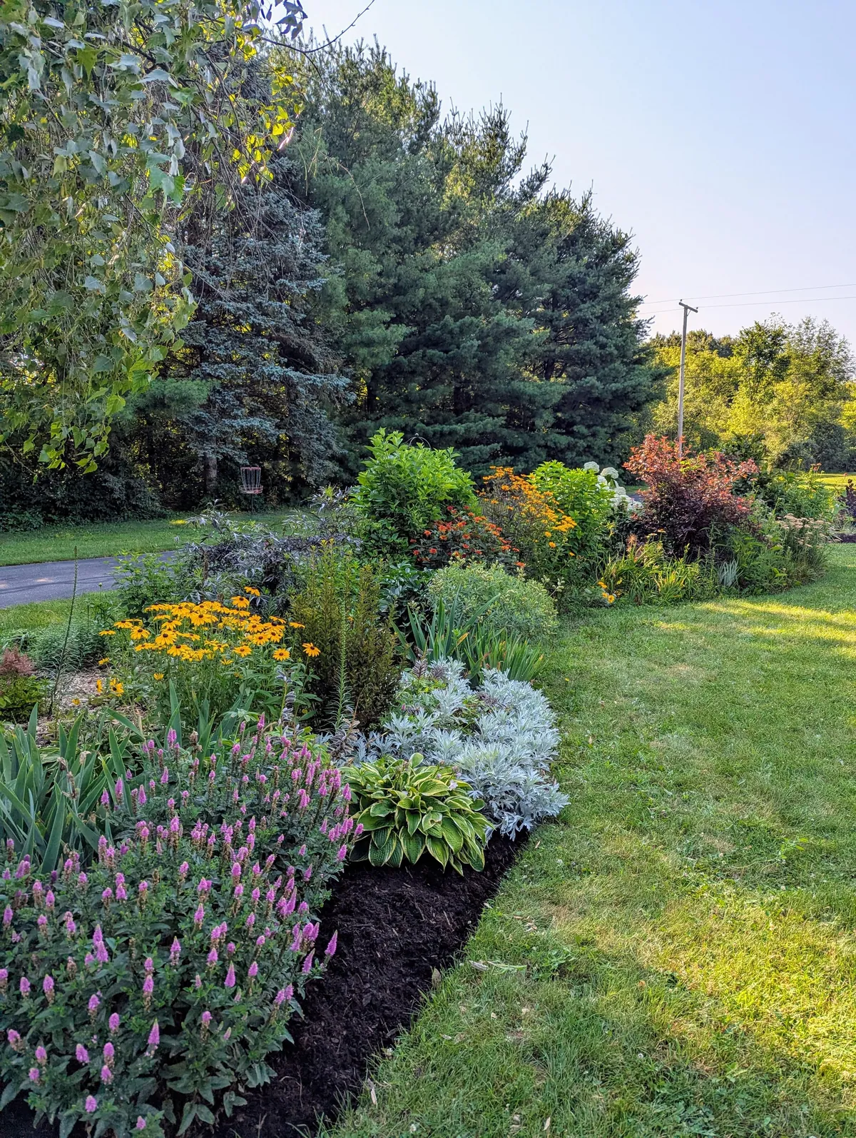 Spent all weekend cleaning up the garden and got a sunburn. Worth the pain though.