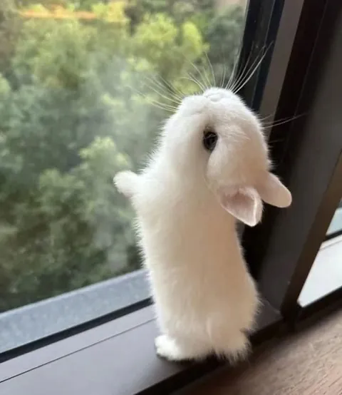 Name ideas for this little fluff?