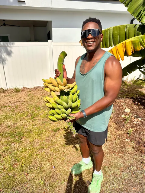 First banana harvest!