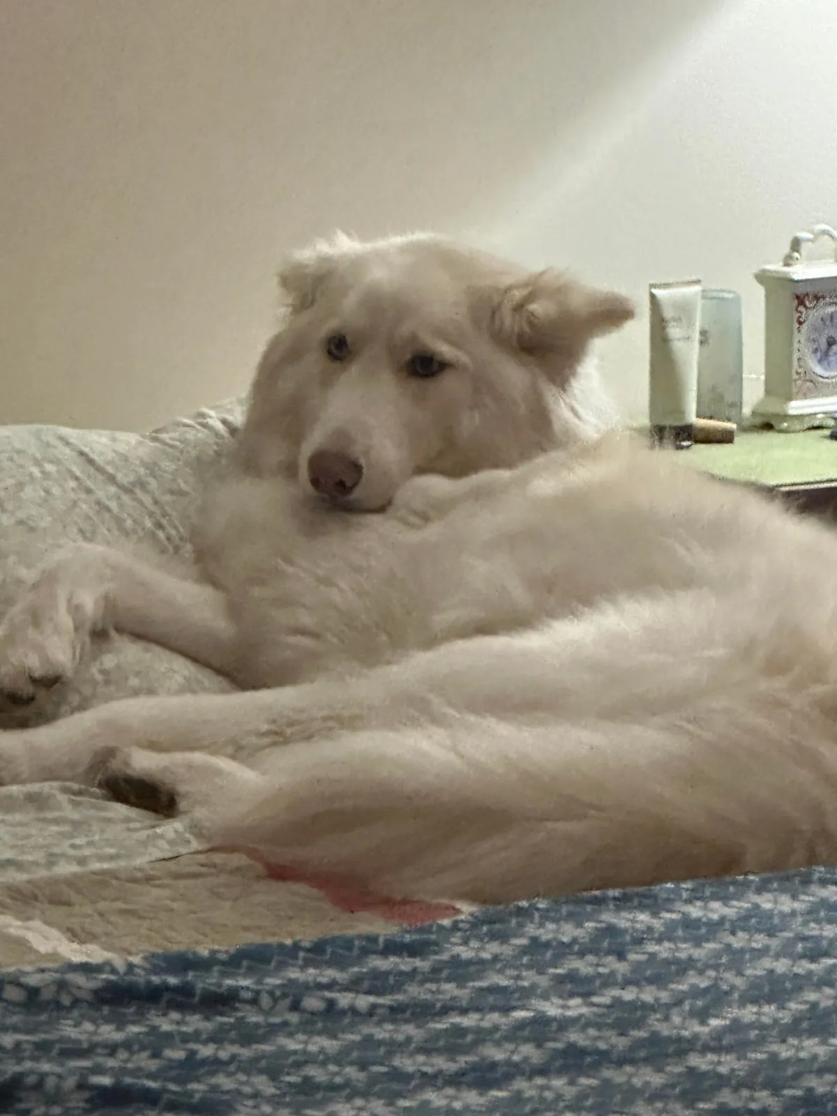 I promise she’s real!!