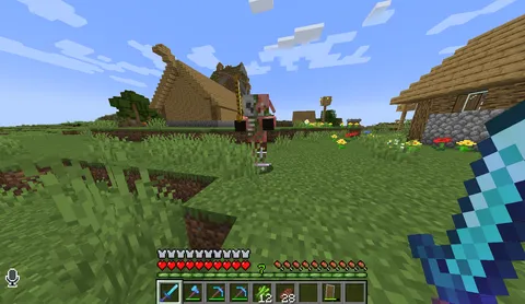 i didn't even make a nether portal. how did it spawn?