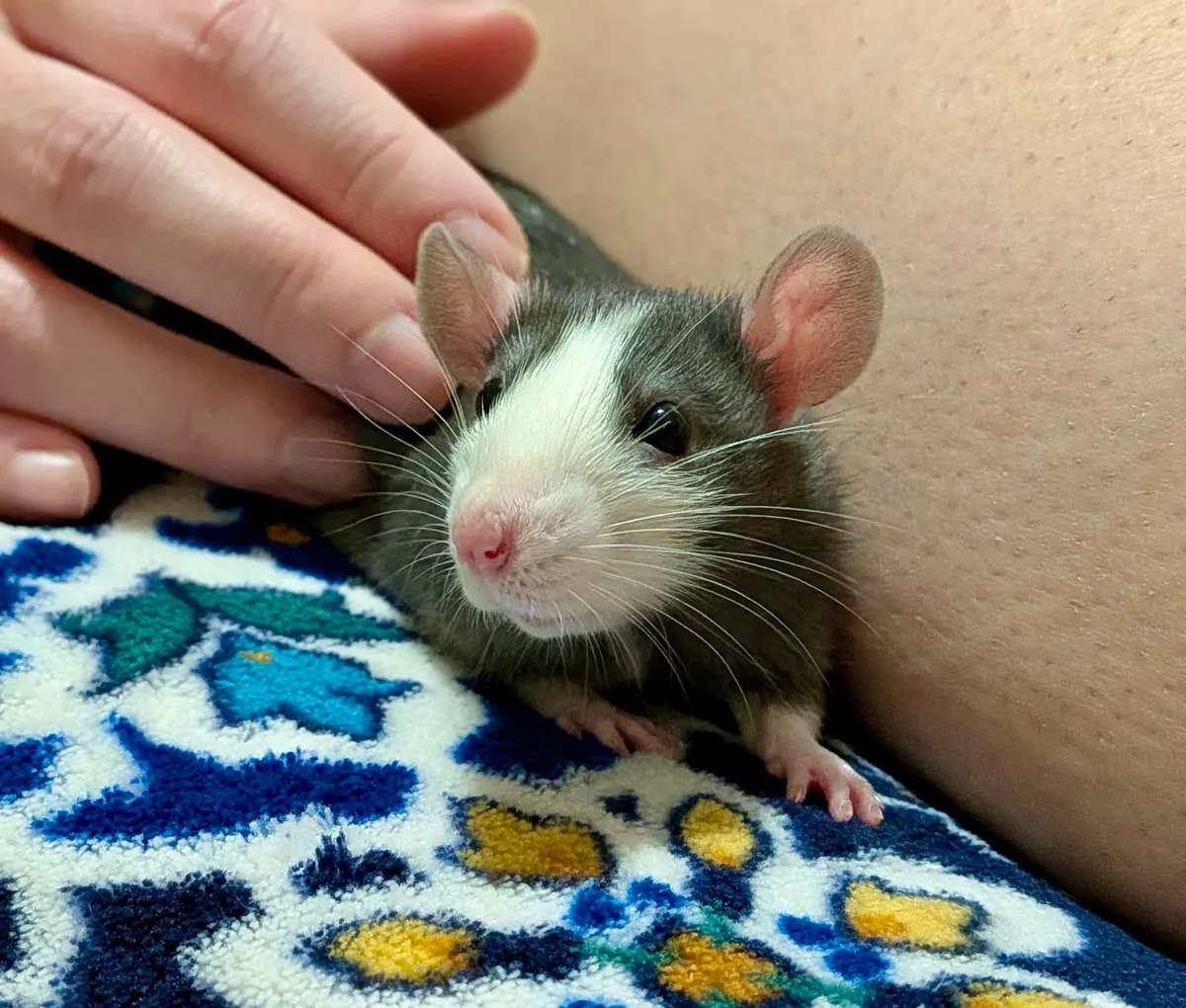 I love his little blaze