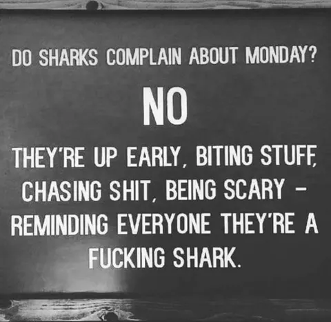 [Image]Do the sharks complain?